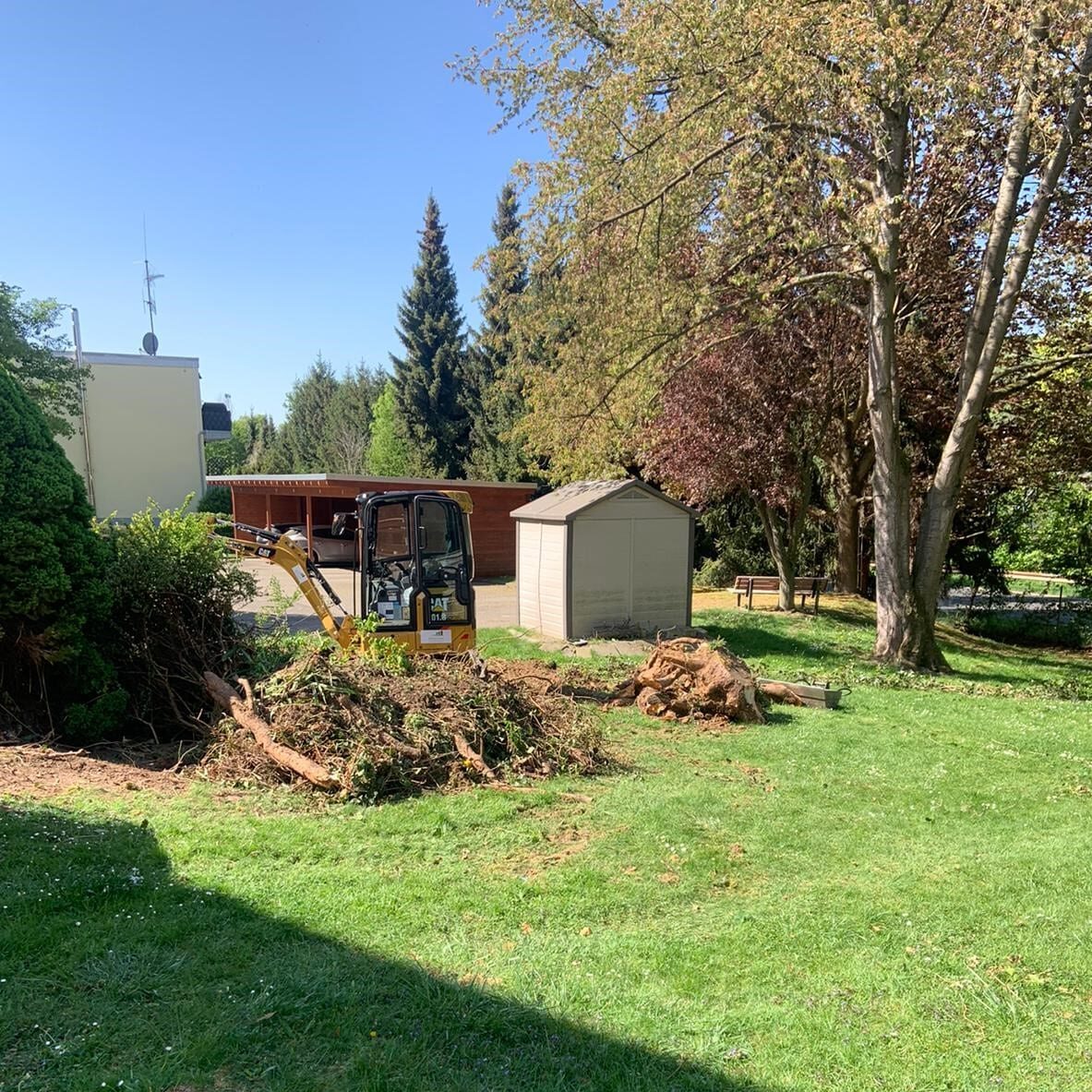 Baumfällung & Rodungen – Gartenbau Schneider Wachtberg